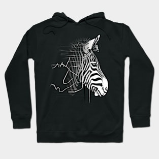 Zebra Eco-tourism Impact Hoodie